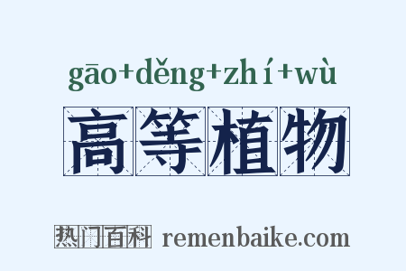 高等植物是什么意思的图片